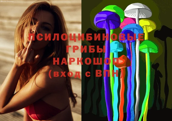 МДПВ Володарск
