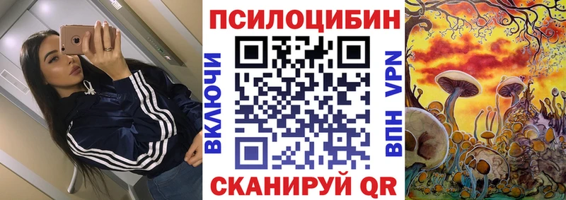 Галлюциногенные грибы Cubensis  Благовещенск 
