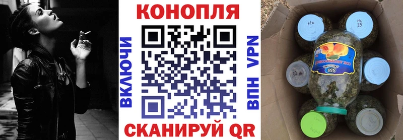 сколько стоит  Благовещенск  кракен онион  Шишки марихуана ГИДРОПОН 